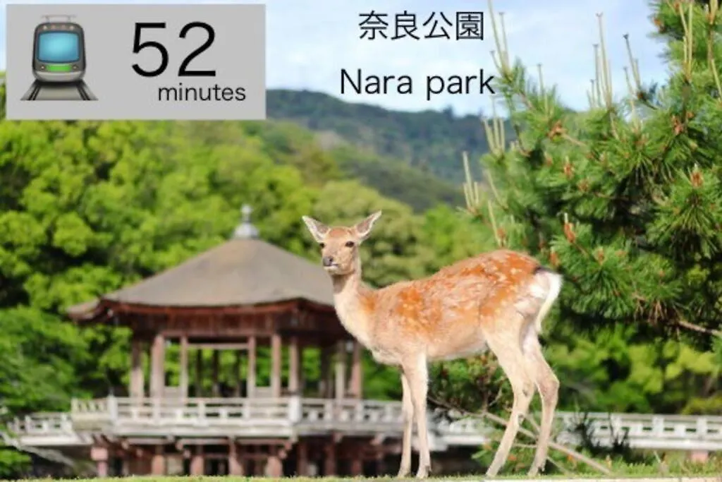 大阪市なんば中心の宿 Japan